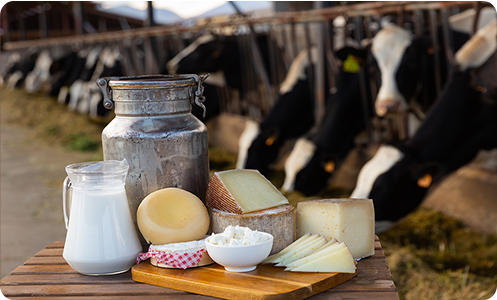 Bosch SDS’ Blockchain-driven supply chain transformation for a leading Dairy Company