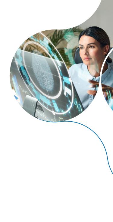 Enterprise AI Advisory